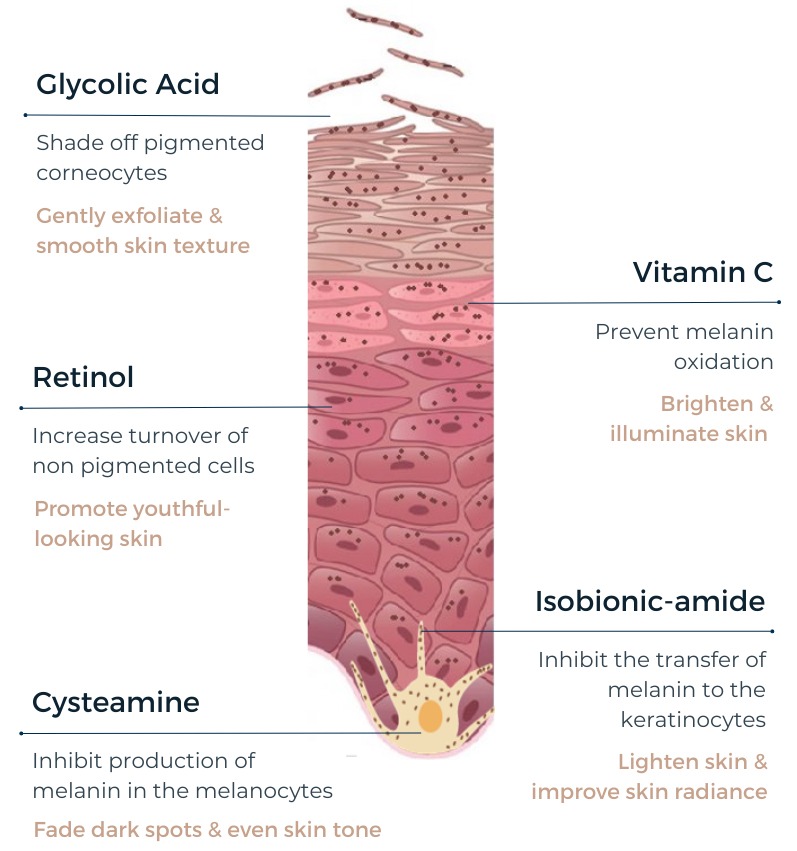 How Cyspera Works How Cyspera Works