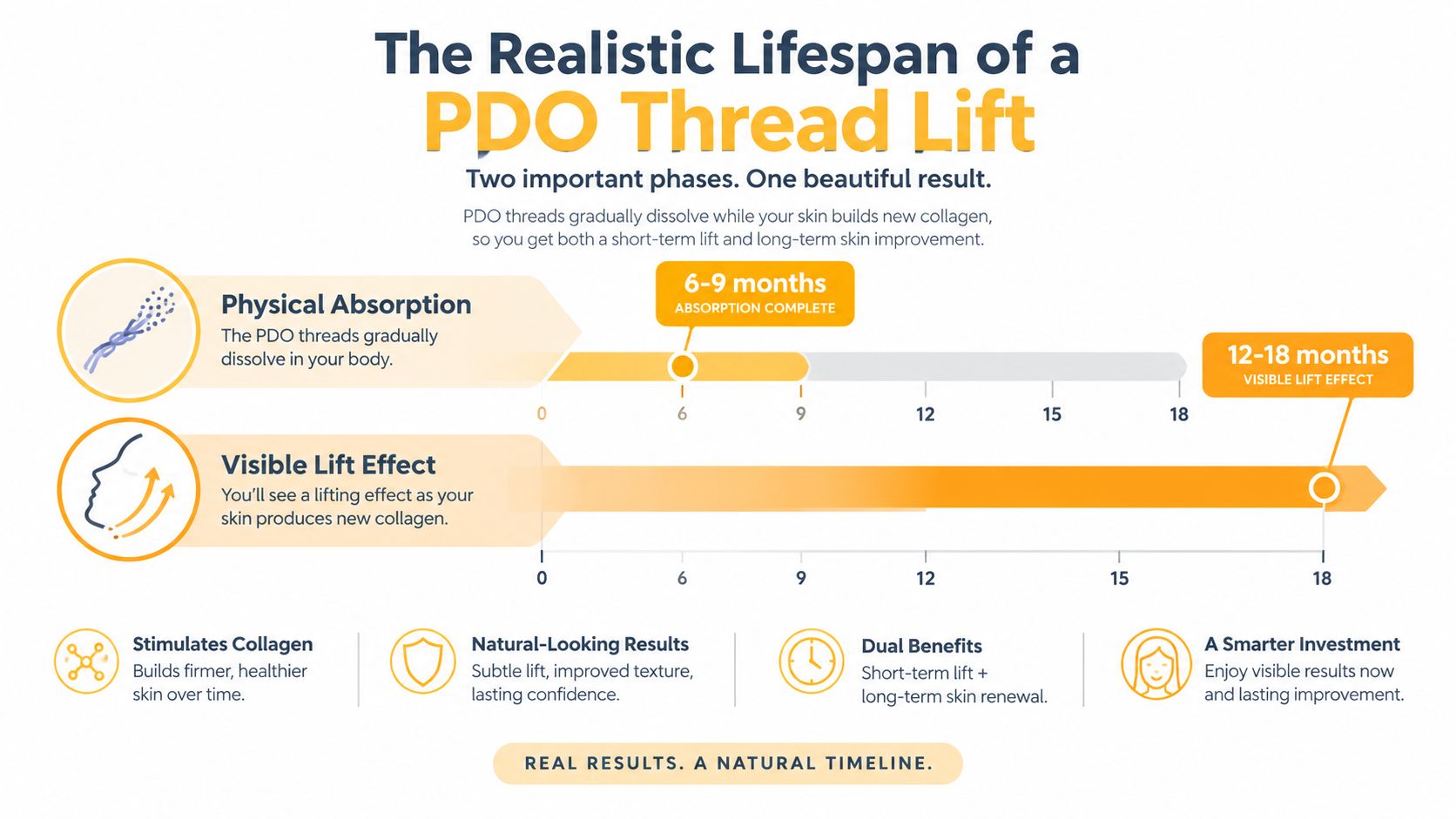 An infographic showing the two-phase timeline of a PDO thread lift treatment for skin rejuvenation.